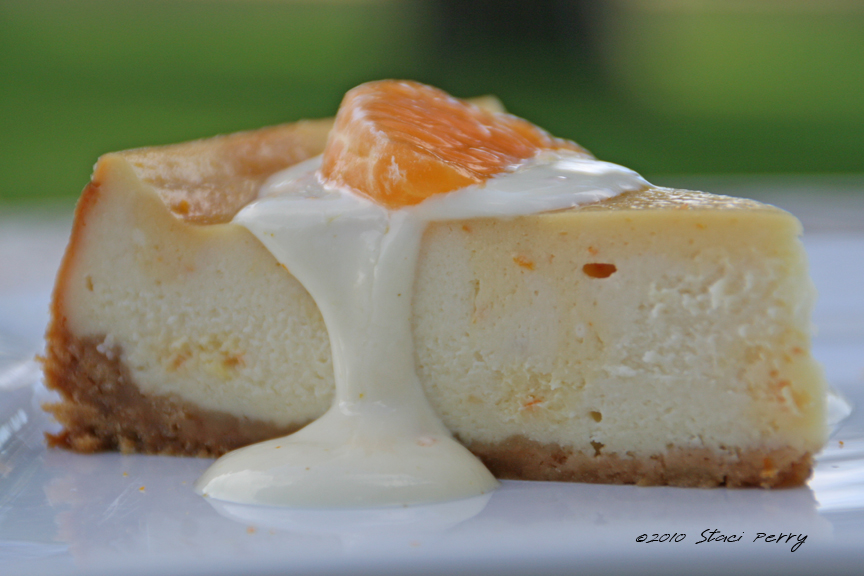 Creamy Orange Dreamsicle Cheesecake with Sugared Cream Sauce