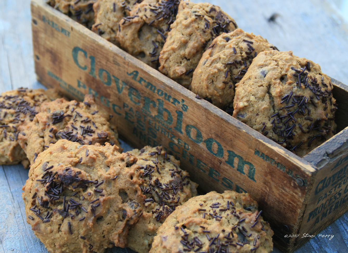 I’m Not Allowed at Thanksgiving Without Pumpkin Chocolate Chip Cookies