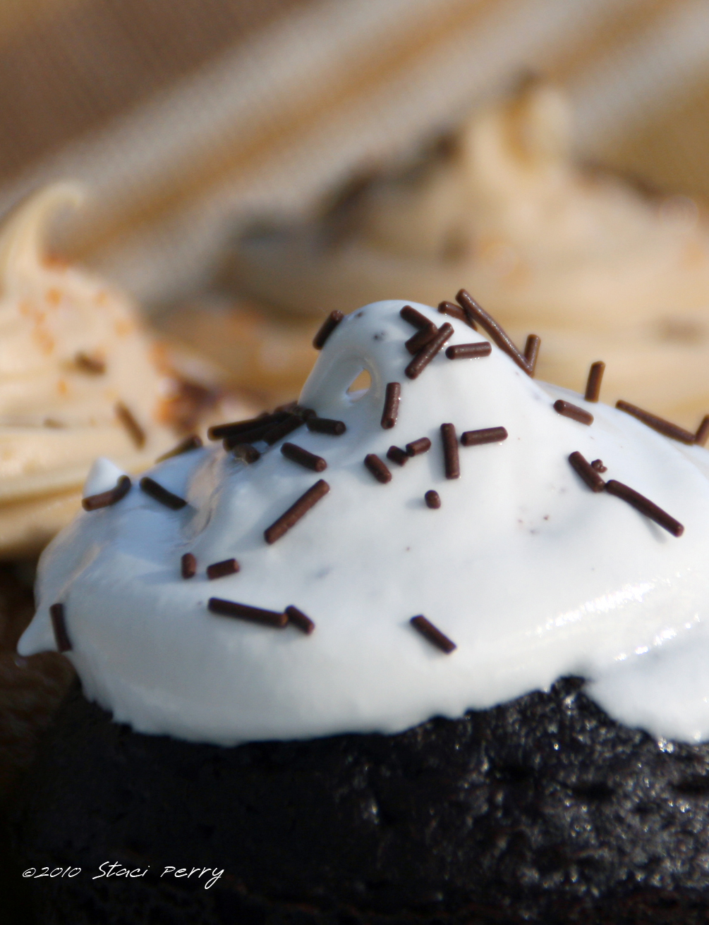 Heavenly Chocolate Cupcakes with Snow Frosting