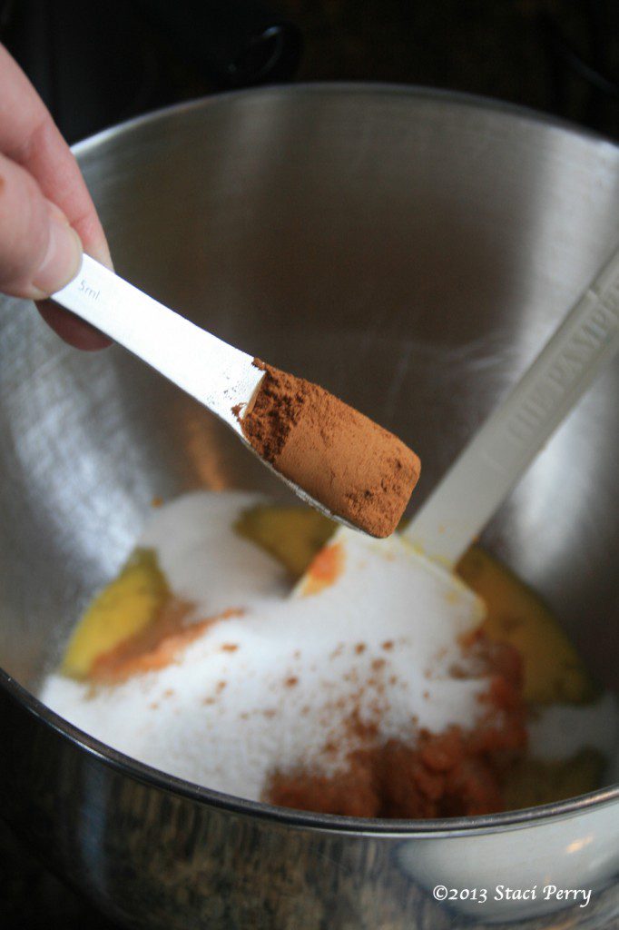 add cinnamon to pumpkin pie batter in a bowl