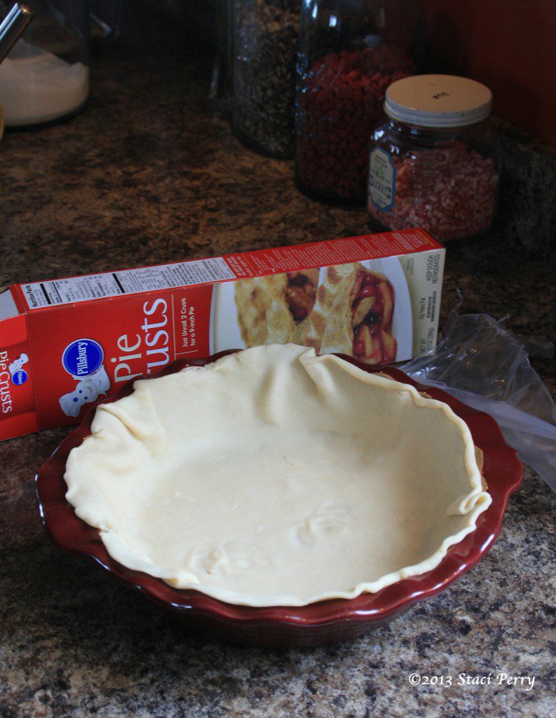 pie crust in pie plate before baking 