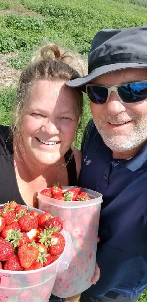married couple strawberry picking at strawberry patch