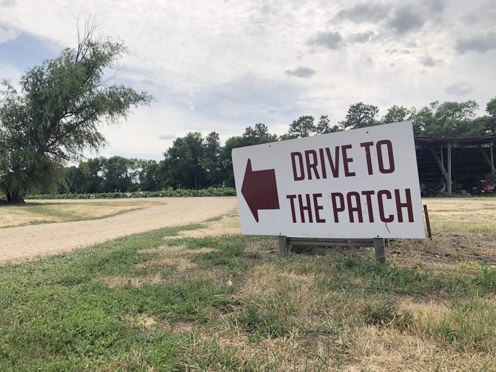 sign at strawberry patch that reads Drive To The Patch with an arrow
