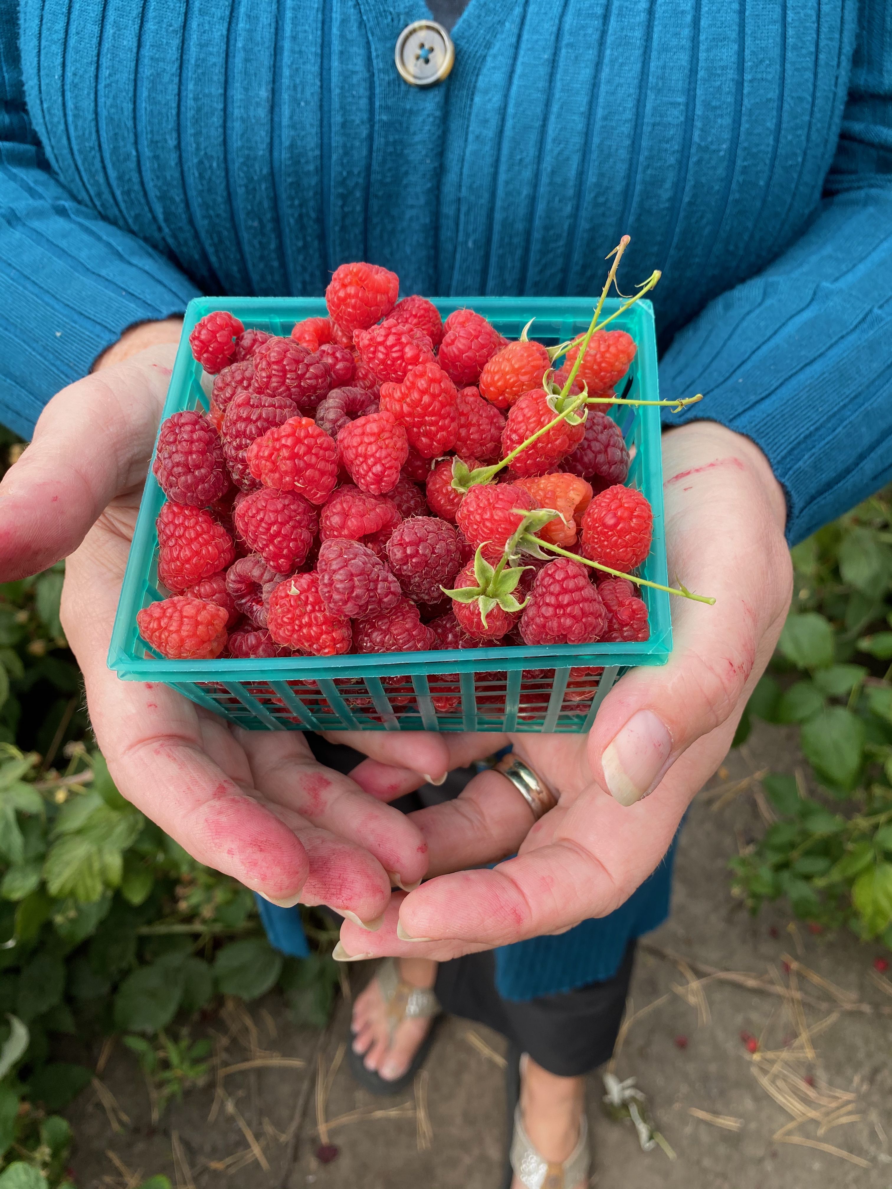 holding a small basket of raspberries