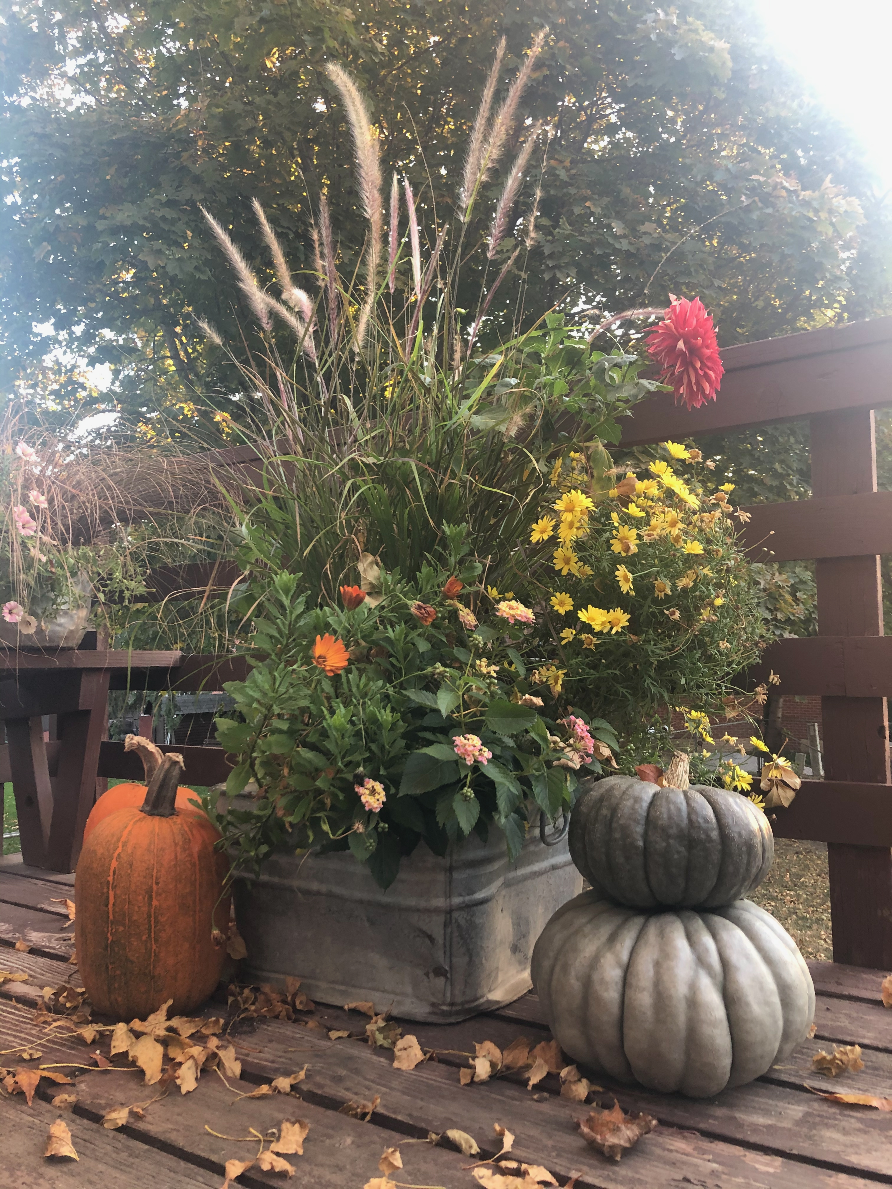pumpkins and flowers on deck