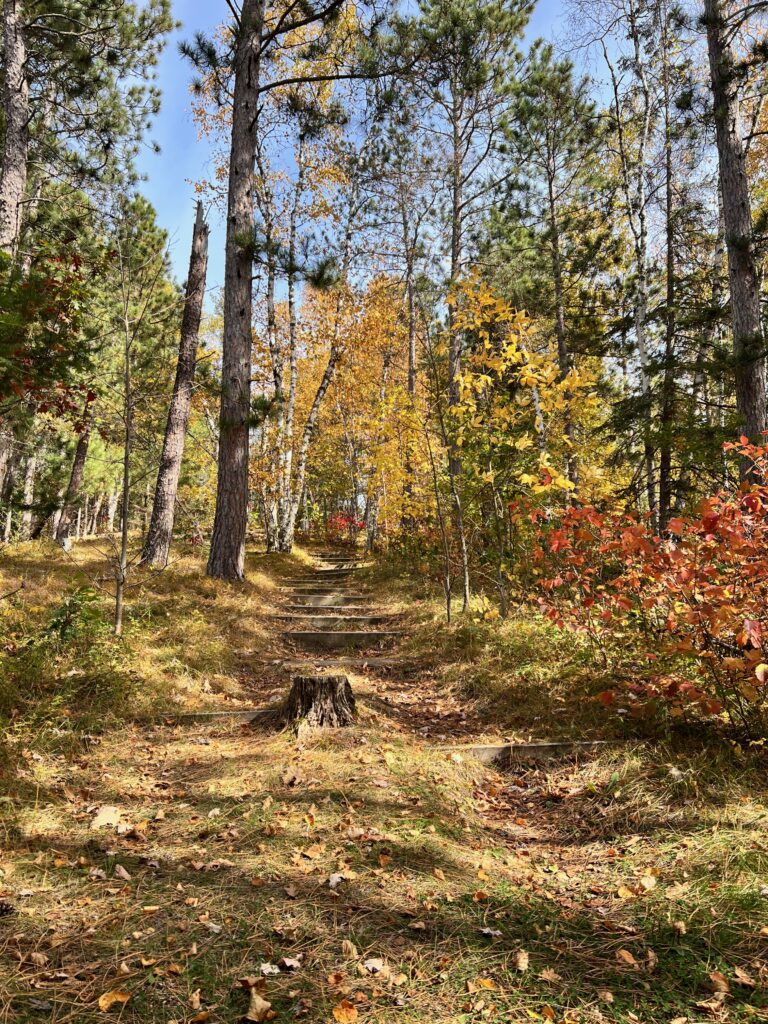 hiking trail at Neilson Spearhead Center Bemidji