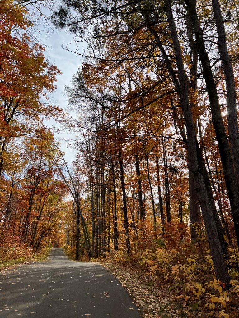 Itasca State Park Wilderness Drive Scenic Route