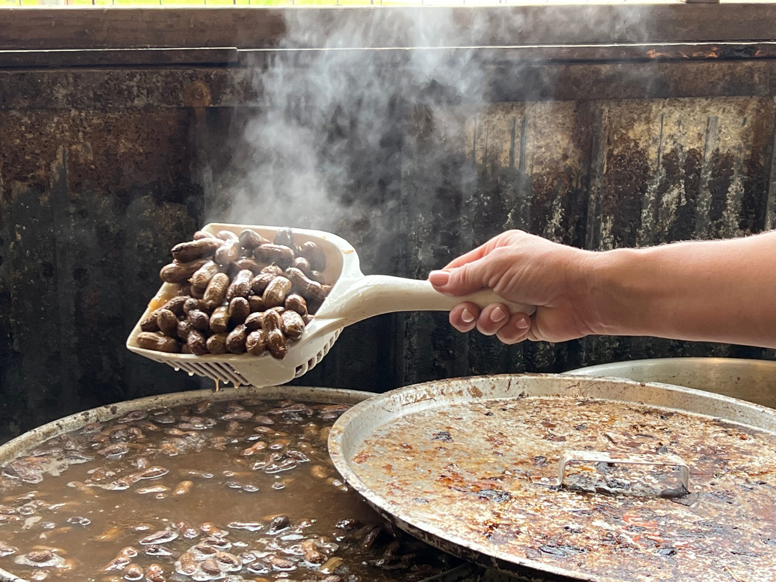 lifting a scoop of hot boiled peanuts out of a vat