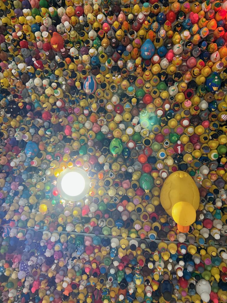 rubber ducks on ceiling at The Hangout Golf Shores