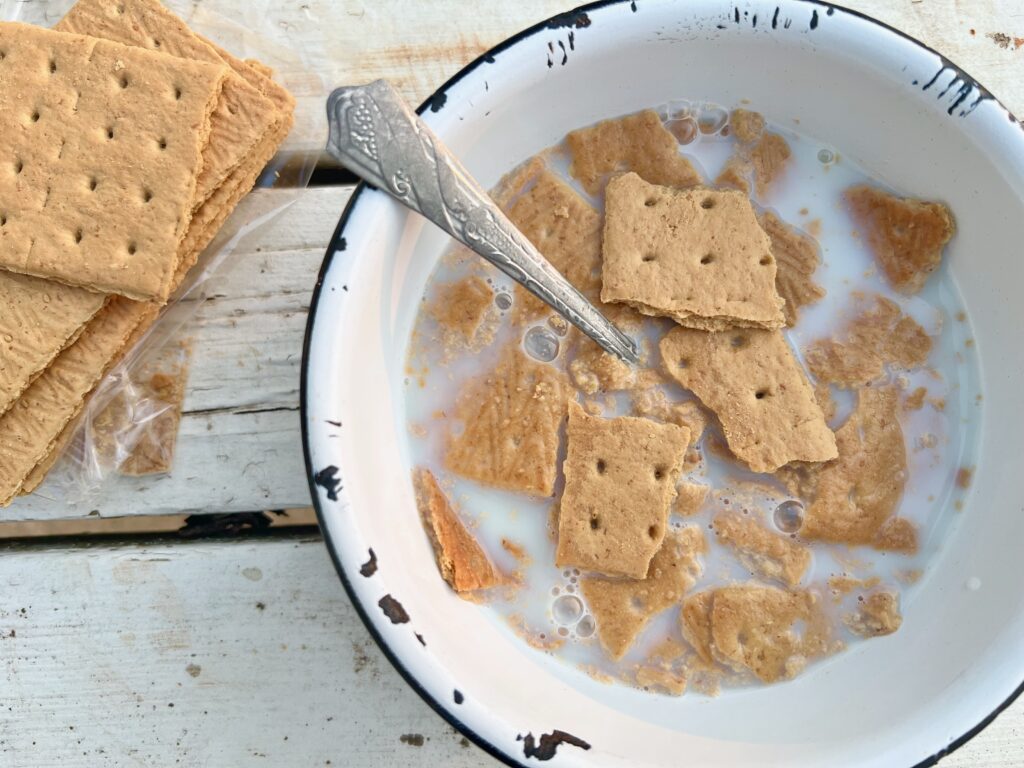 bowl of milk and crushed graham crackers while camping 