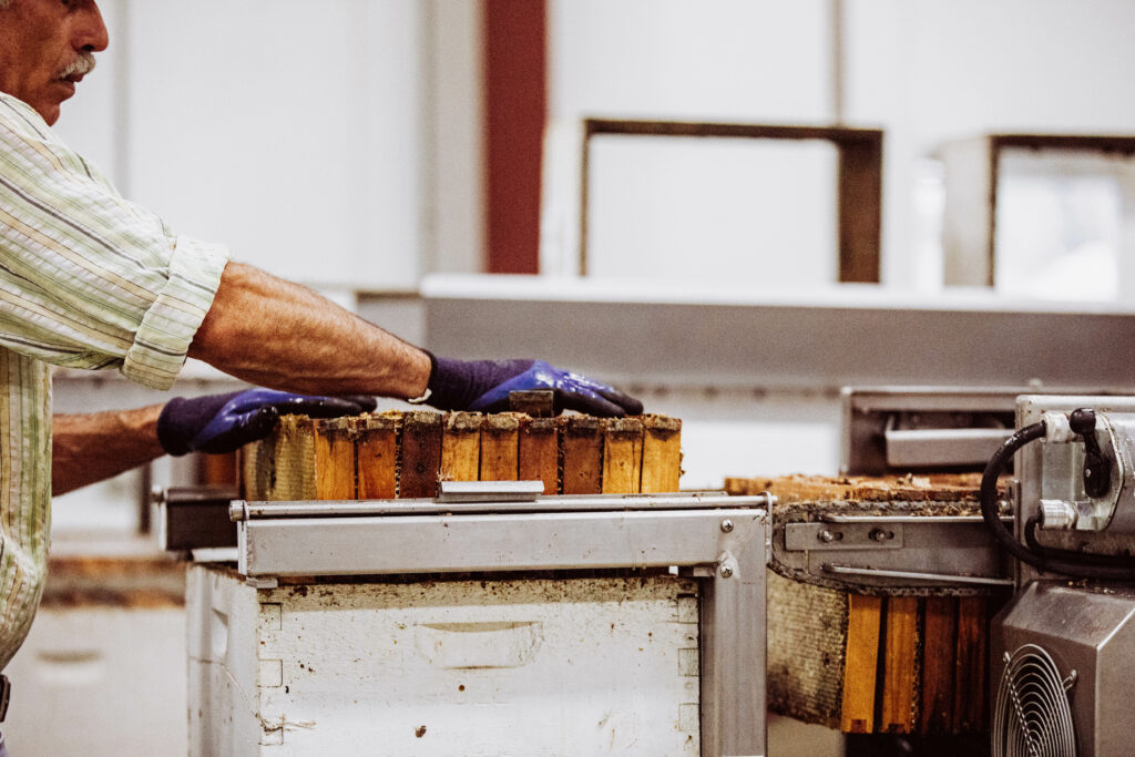 bee hives in an Adee Honey Farms facility