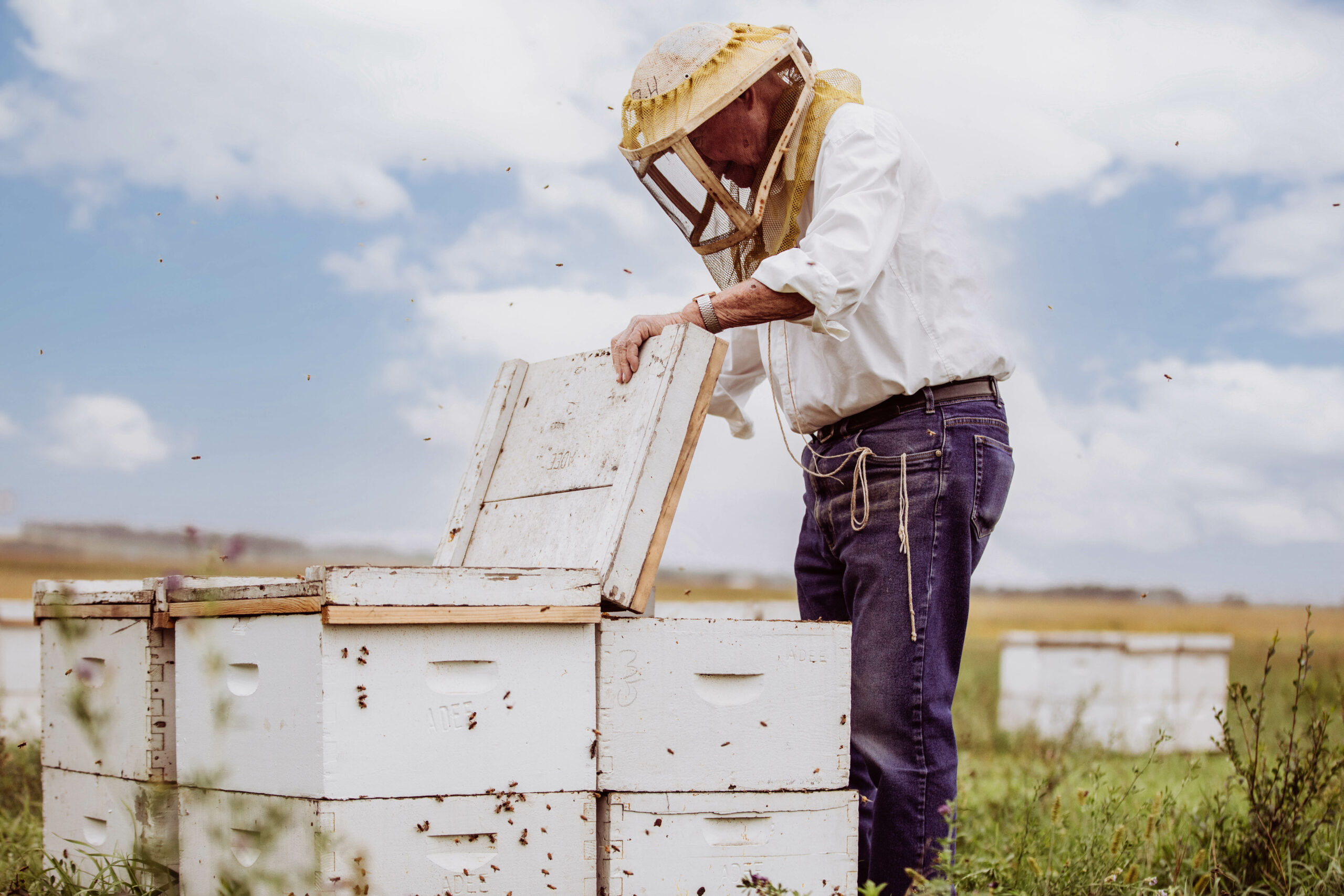 Richard Adee with an open bee hive in the field