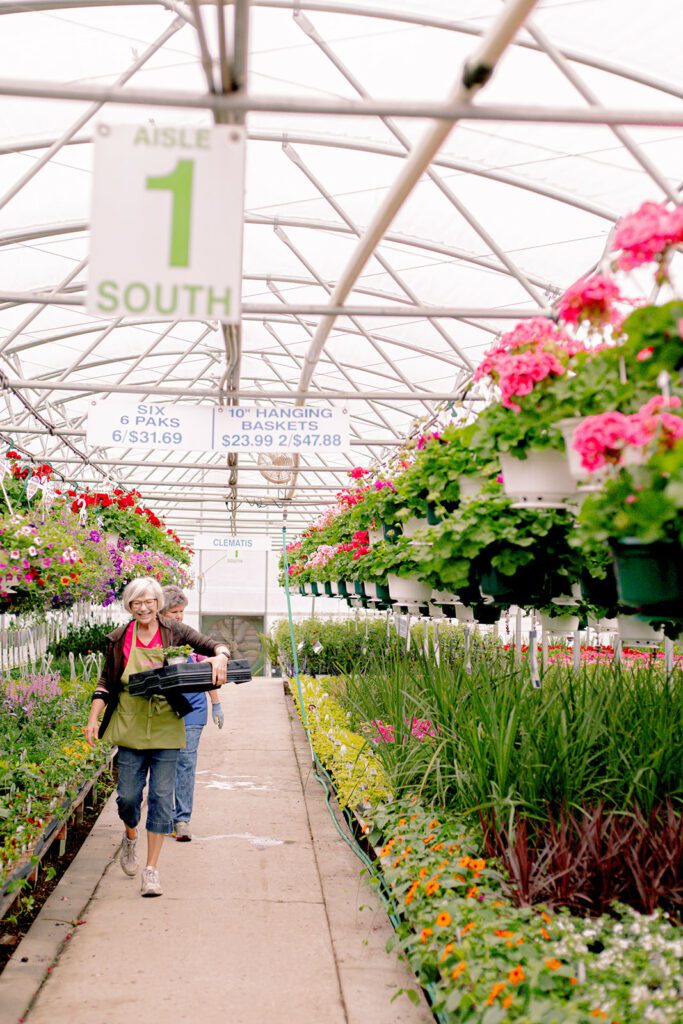 aisle 1 at Medary Acres Greenhouse