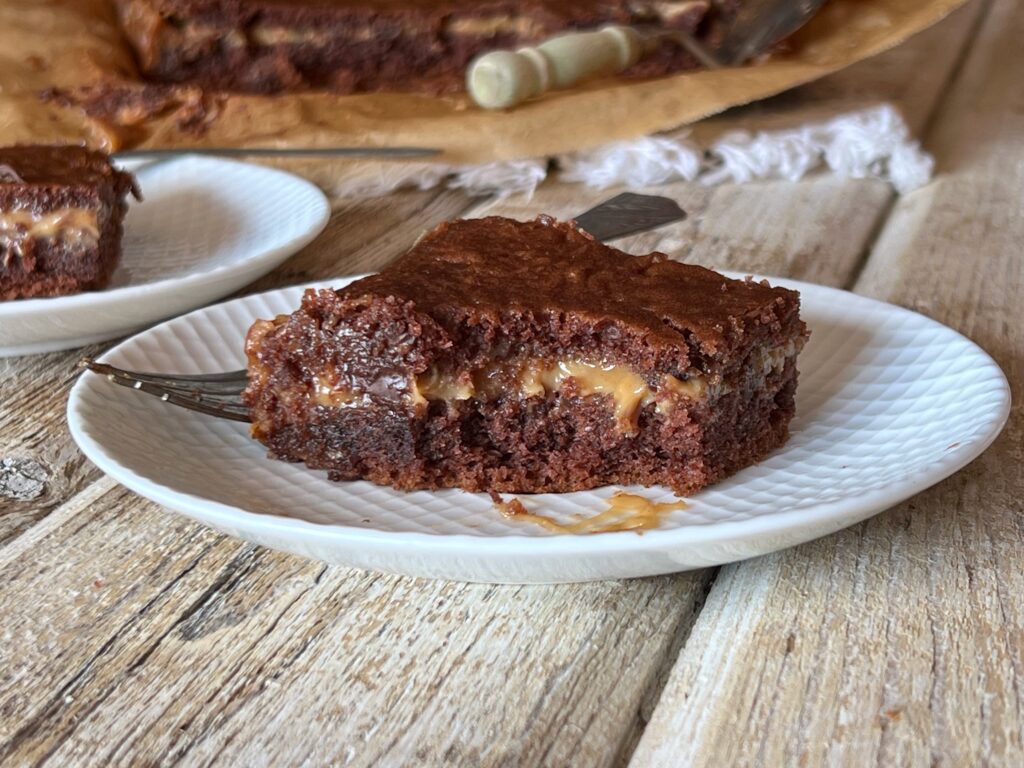 slice of turtle cake on a plate 