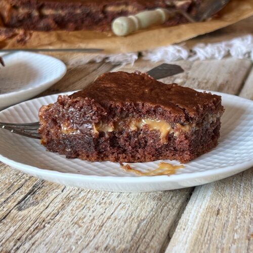 slice of turtle cake on a plate