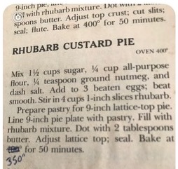 rhubarb custard pie recipe 