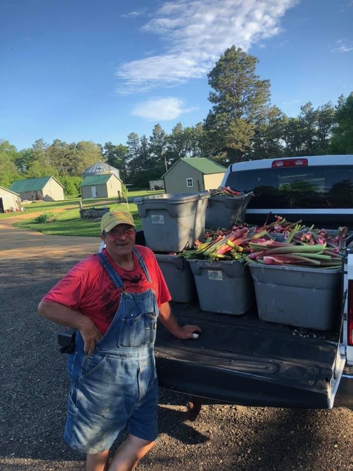 Jan Sanderson of Sanderson Gardens with a pickup load of rhubarb