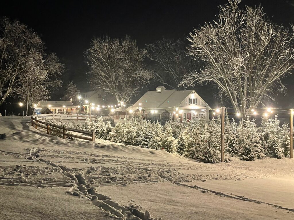 Krueger's Christmas Tree Farm and night with twinkling lights and snow